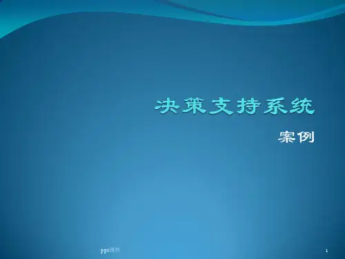决策支持系统案例  ppt课件