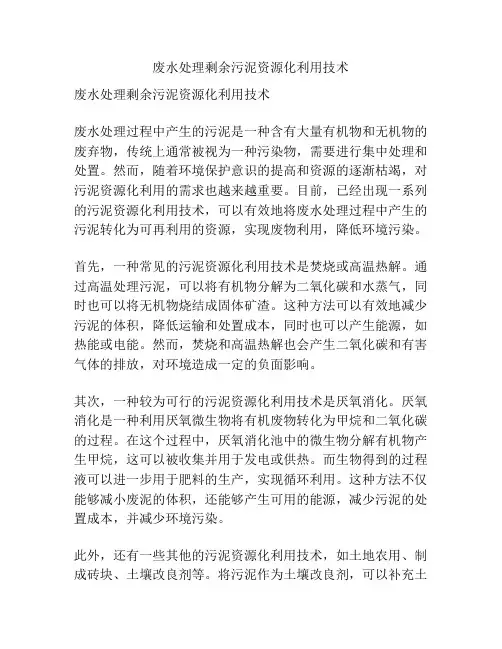 废水处理剩余污泥资源化利用技术