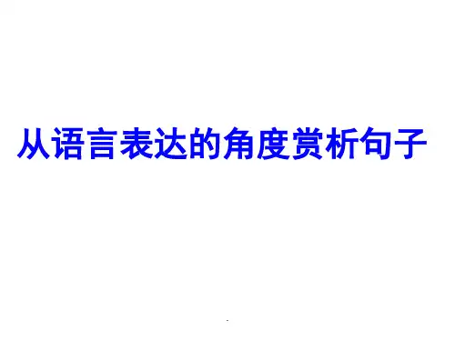 从语言表达的角度赏析句子