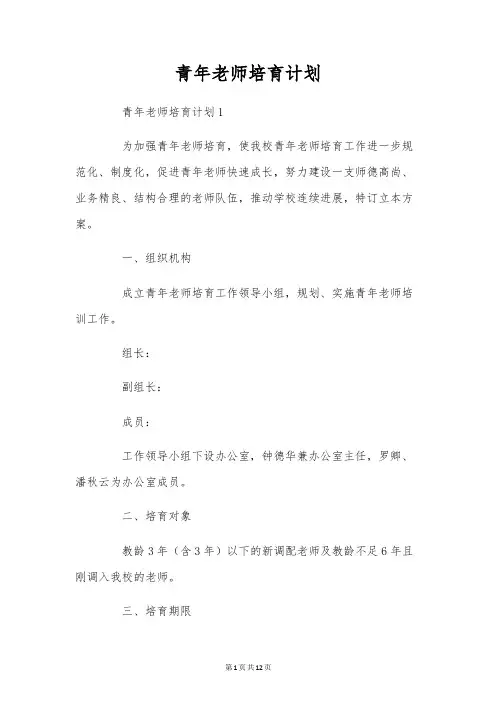青年教师培养计划