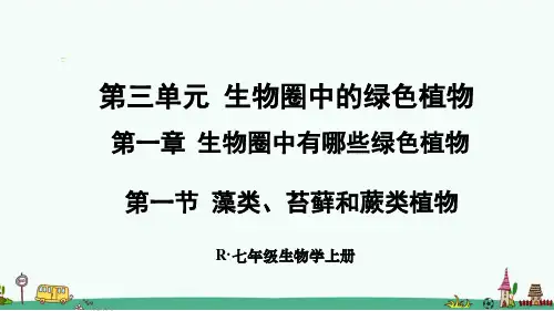 人教版七年级生物上册第一章《生物圈中有哪些绿色植物》课件