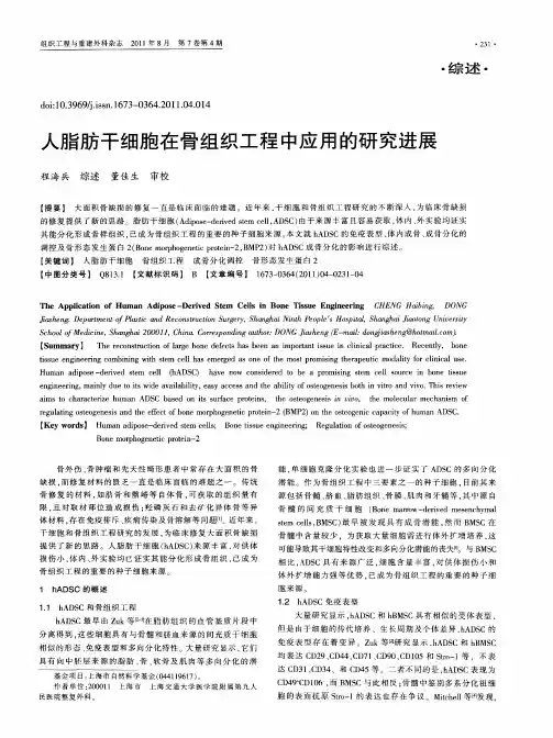 人脂肪干细胞在骨组织工程中应用的研究进展