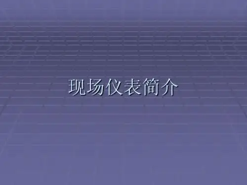 现场仪表
