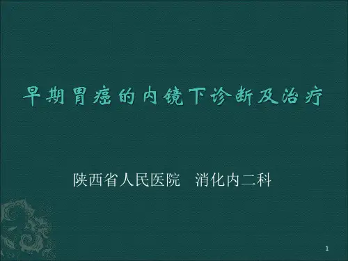 早期消化道肿瘤的内镜下诊断及治疗参考幻灯片