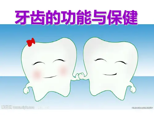 小学生体育与健康牙齿保健PPT
