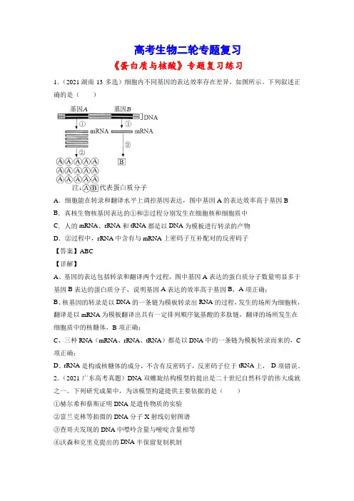 高考生物二轮专题复习：专题18 蛋白质与核酸(习题精练含答案详解)