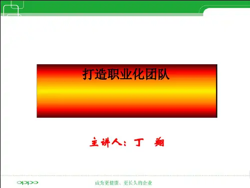 如何打造职业化团队PPT(共 71张)