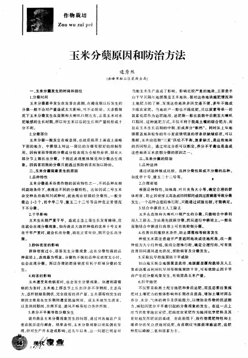 玉米分蘖原因和防治方法