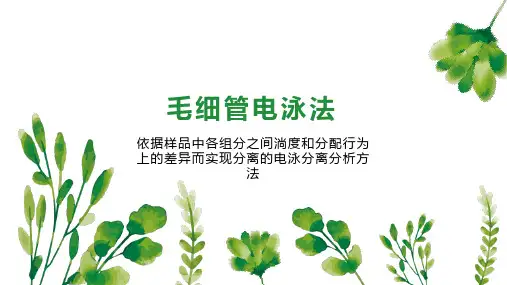 毛细管电泳法