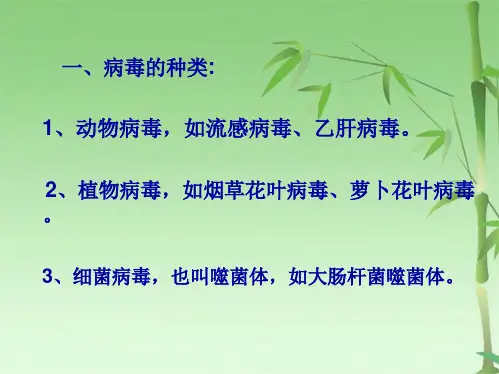 第三节 神奇的微生物(共66张PPT)