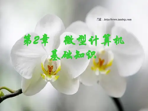 第2章 微机原理基础知识PPT教学课件