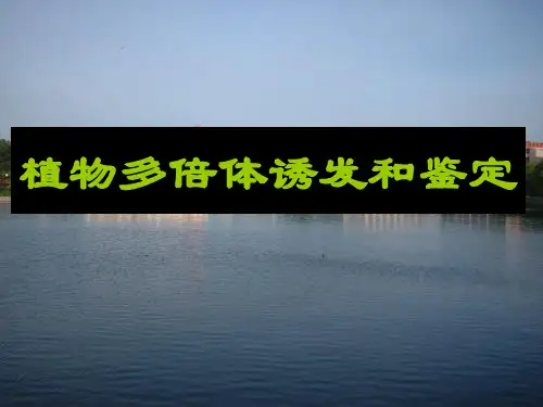植物多倍体诱发和鉴定