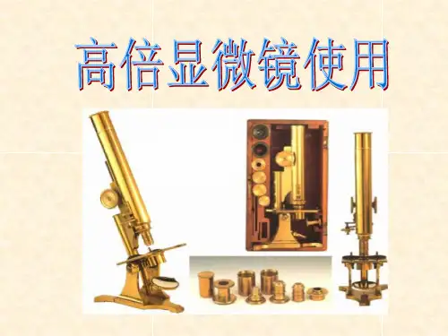 高中生物课件-高倍显微镜的使用方法