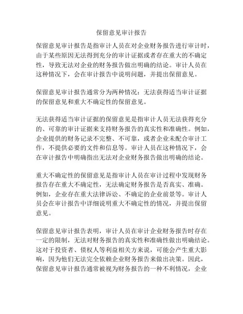 保留意见审计报告