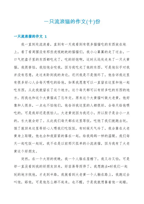 一只流浪猫的作文份