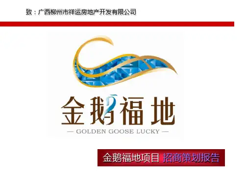 某房地产项目招商策划报告(PPT 62页)