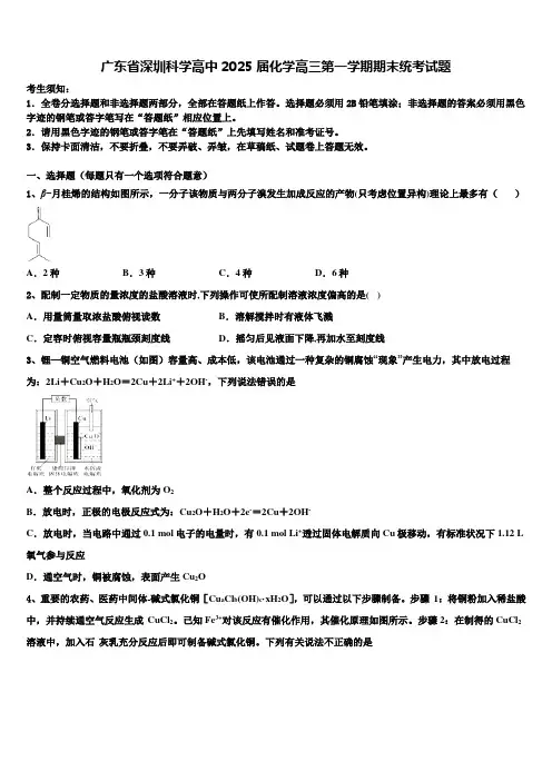广东省深圳科学高中2025届化学高三第一学期期末统考试题含解析