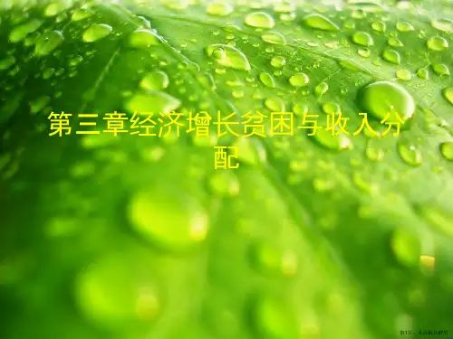 第三章经济增长贫困与收入分配