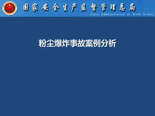 粉尘爆炸事故案例分析-专家
