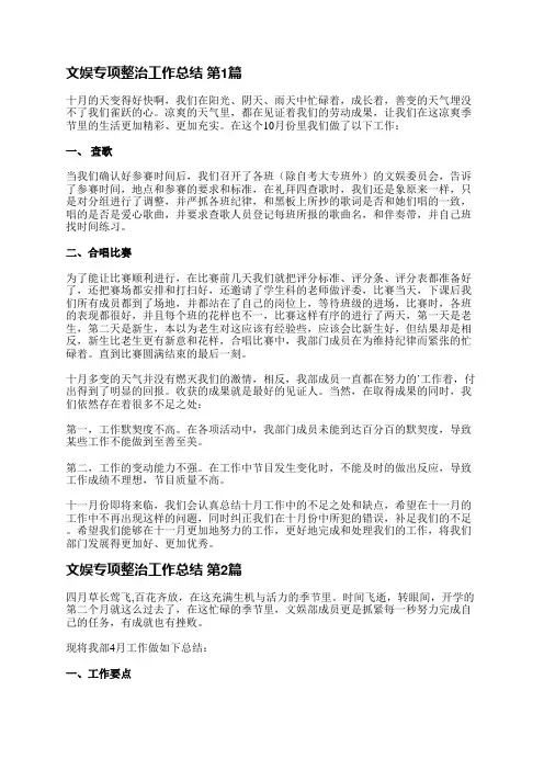 文娱专项整治工作总结(合集8篇)