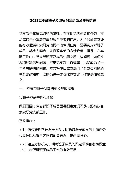 2023党支部班子及成员问题清单及整改措施