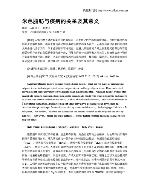 米色脂肪与疾病的关系及其意义
