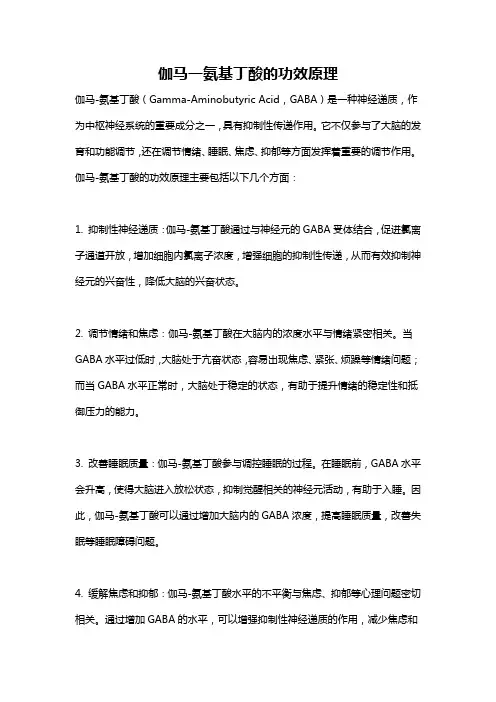 伽马一氨基丁酸的功效原理