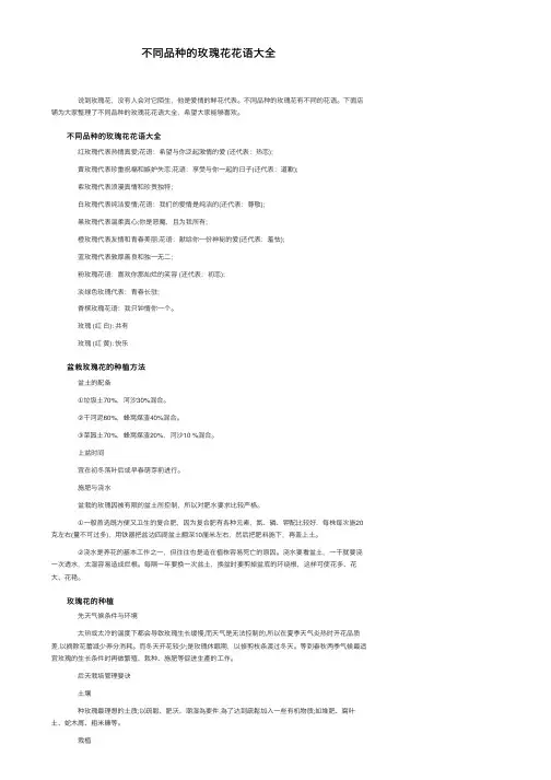 不同品种的玫瑰花花语大全