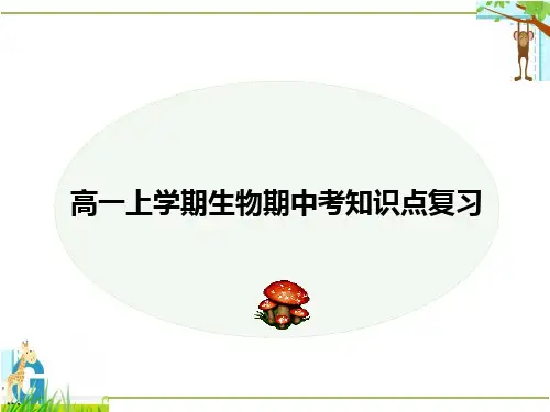 高一上学期生物期中考知识点复习课件高一上学期生物人教版必修1