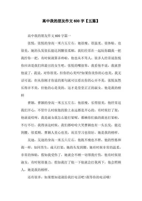 高中我的朋友作文600字【五篇】