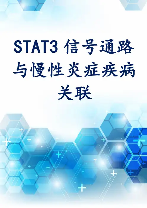 STAT3信号通路与慢性炎症疾病关联