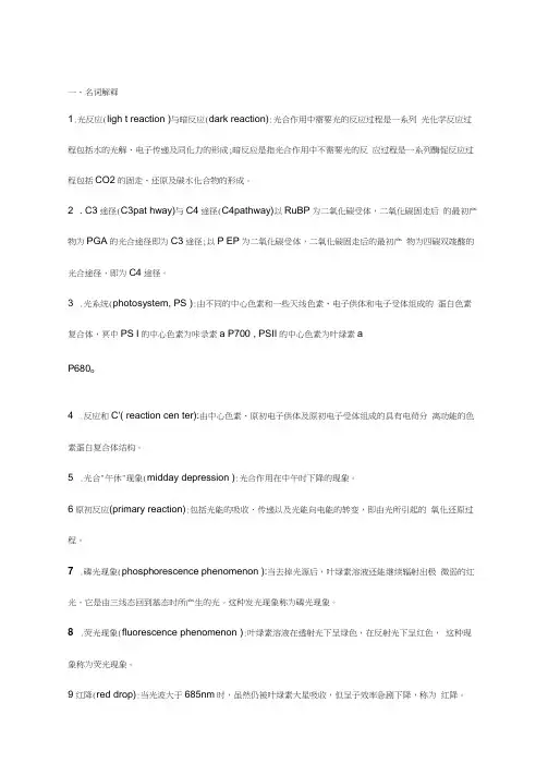 光合作用名词解释