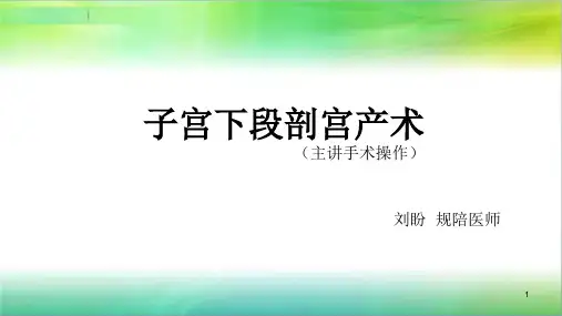 子宫下段剖宫产PPT参考课件
