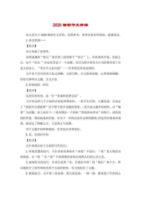 2020精彩作文评语
