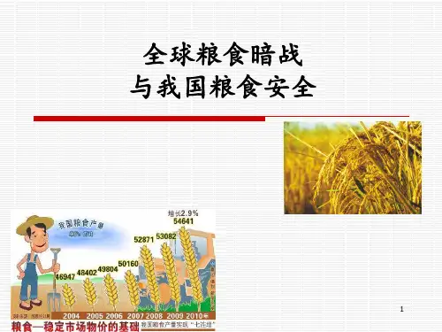 中国的粮食安全讲座ppt课件