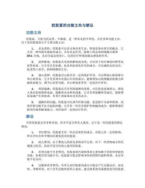 绞股蓝的功能主治与禁忌