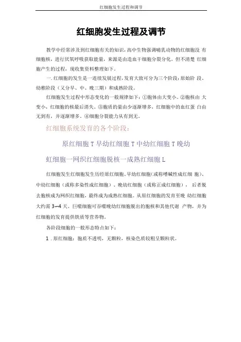 红细胞发生过程和调节