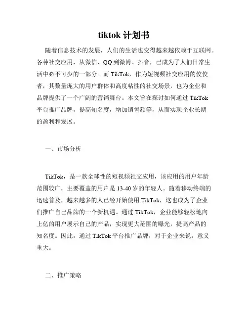 tiktok计划书