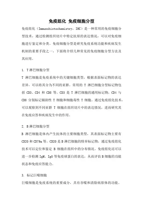 免疫组化 免疫细胞分型