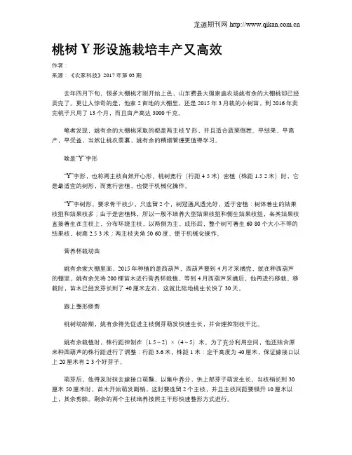 桃树Y形设施栽培丰产又高效