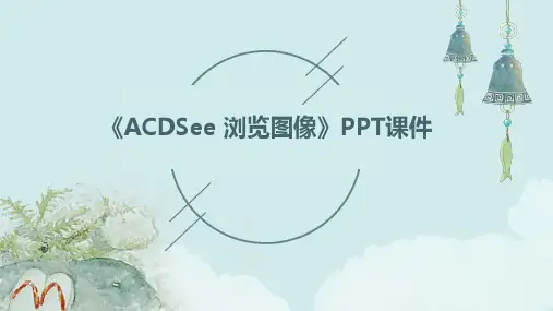《ACDsee浏览图像》课件