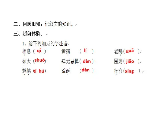 《都市精灵》课件