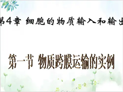 新人教版必修1生物-物质跨膜运输的实例(31张)-PPT优秀课件
