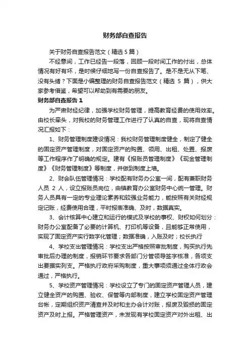 财务部自查报告