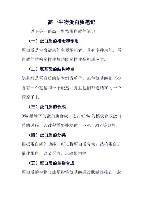 高一生物蛋白质笔记