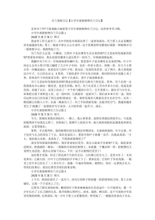 吊兰观察日记【小学生观察植物吊兰日记】