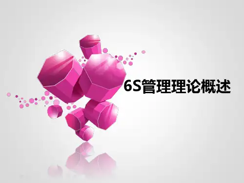 6S管理理论概述