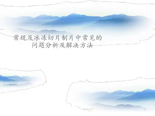 常规冰冻制片常见问题分析  ppt课件