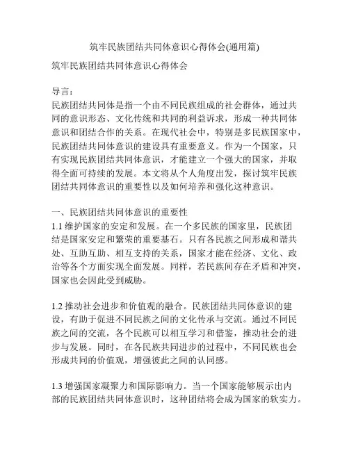 筑牢民族团结共同体意识心得体会(通用篇)