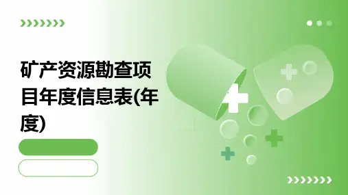 矿产资源勘查项目年度信息表(年度)